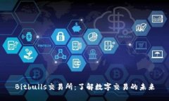 Bitbulls交易所：了解数字交