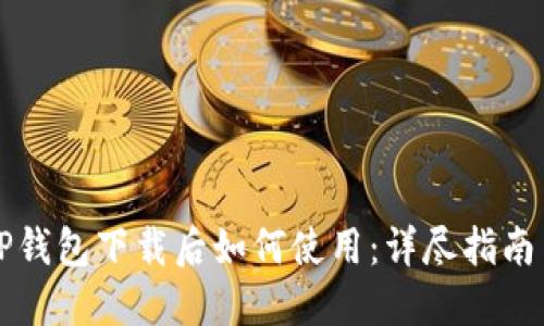 苹果TP钱包下载后如何使用：详尽指南与技巧