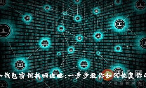 imToken冷钱包密钥找回攻略：一步步教你如何恢复你的数字资产