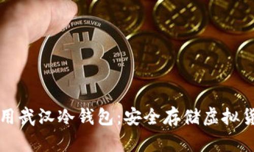如何选择和使用武汉冷钱包：安全存储虚拟货币的终极指南