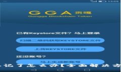IM钱包密码忘记了怎么办?全面解决方案与安全提