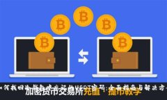 如何找回冷钱包中忘记的USDT密码:全面指南与解
