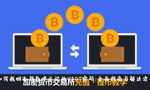 如何找回冷钱包中忘记的USDT密码:全面指南与解决方案