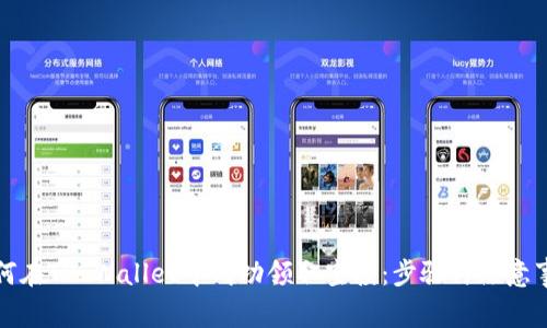 如何在TP Wallet中成功领取空投：步骤与注意事项